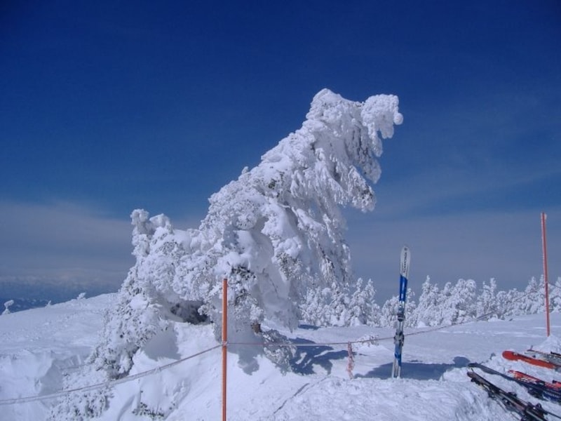 蔵王の樹氷（2）