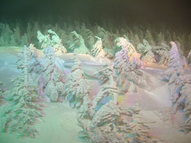 蔵王の樹氷（6）