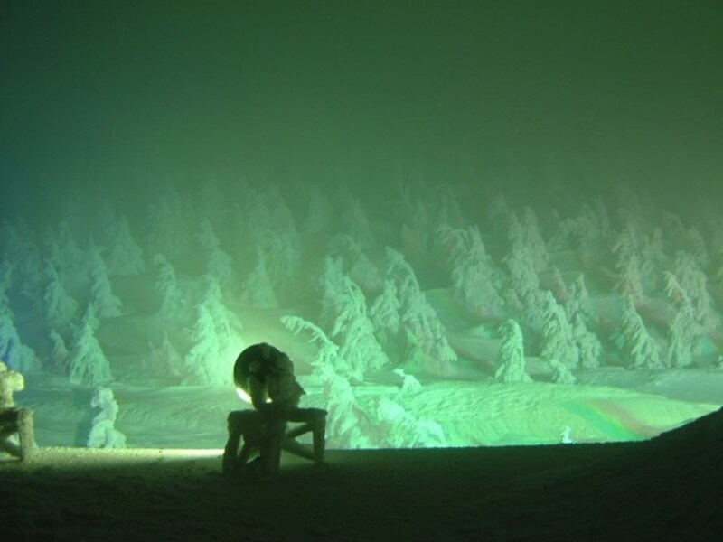 蔵王の樹氷（7）