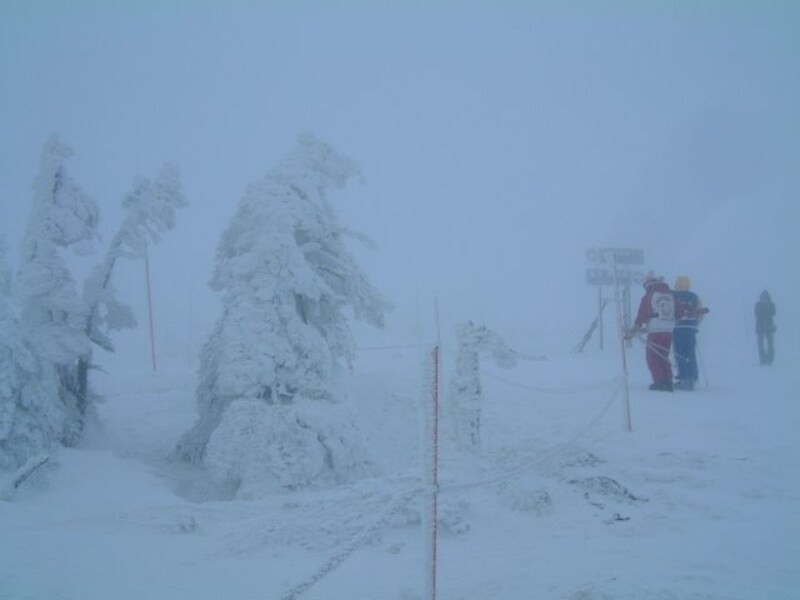 蔵王の樹氷（8）