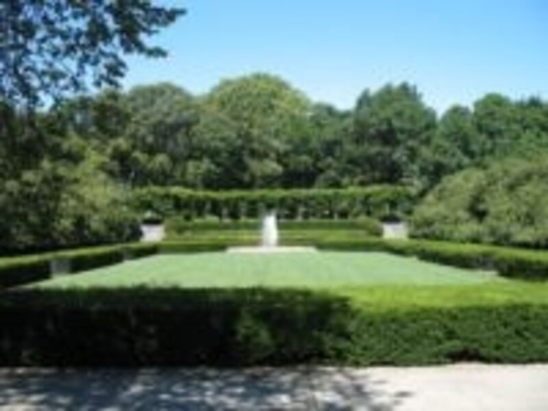 噴水の奥には藤棚もあります