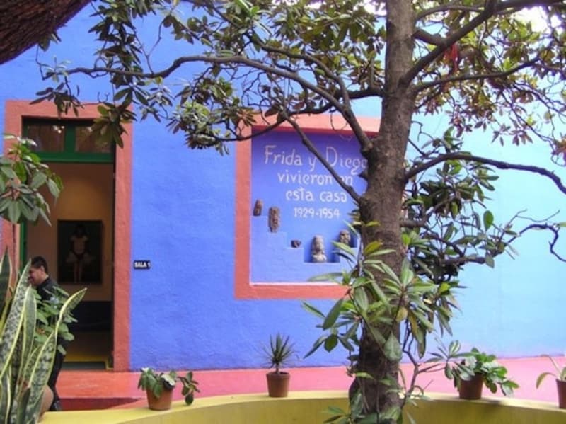 frida casa