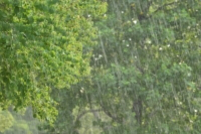 大雨が降ると土砂災害が起きやすい