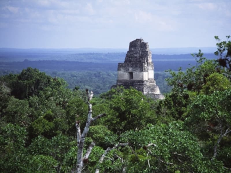 ジャングルから顔を出すIII号神殿。ロスト・ワールドの神殿から見た景色 ©牧哲雄