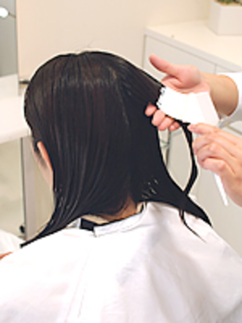 タンパク質を補給