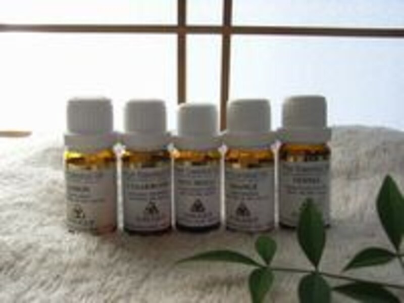 サロンイメージ