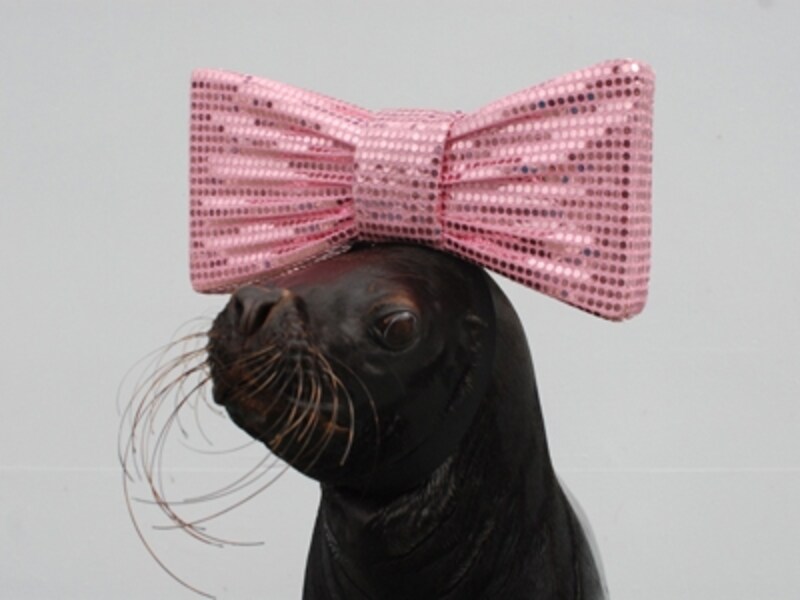 しながわ水族館