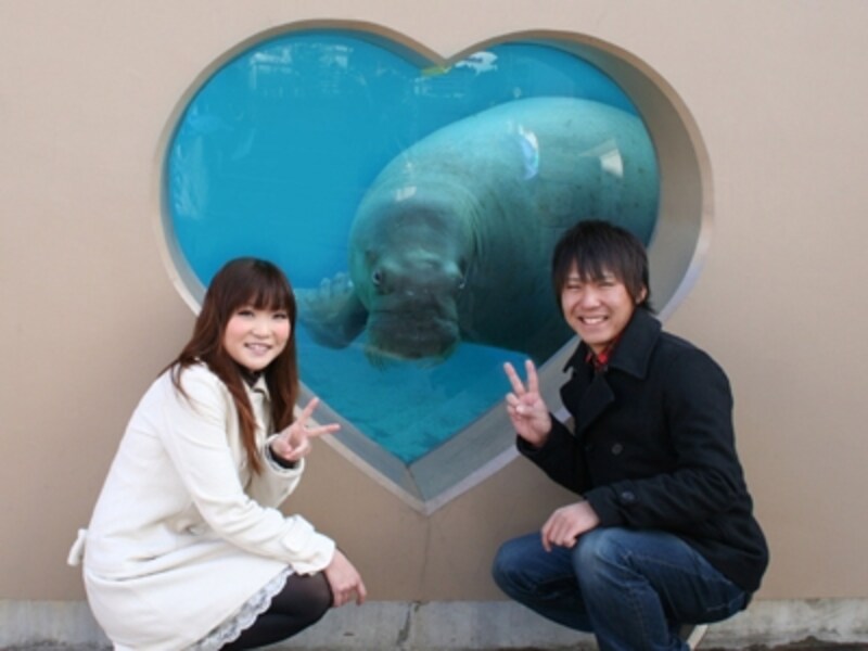 横浜・八景島シーパラダイス