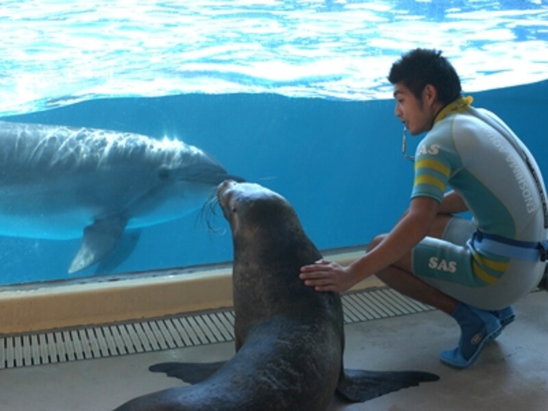 新江ノ島水族館
