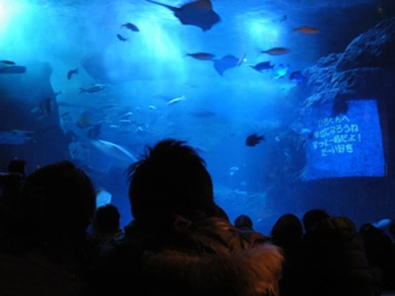 新江ノ島水族館