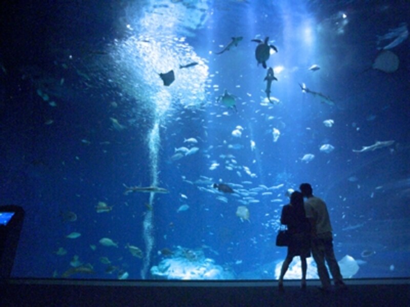 アクアワールド・大洗