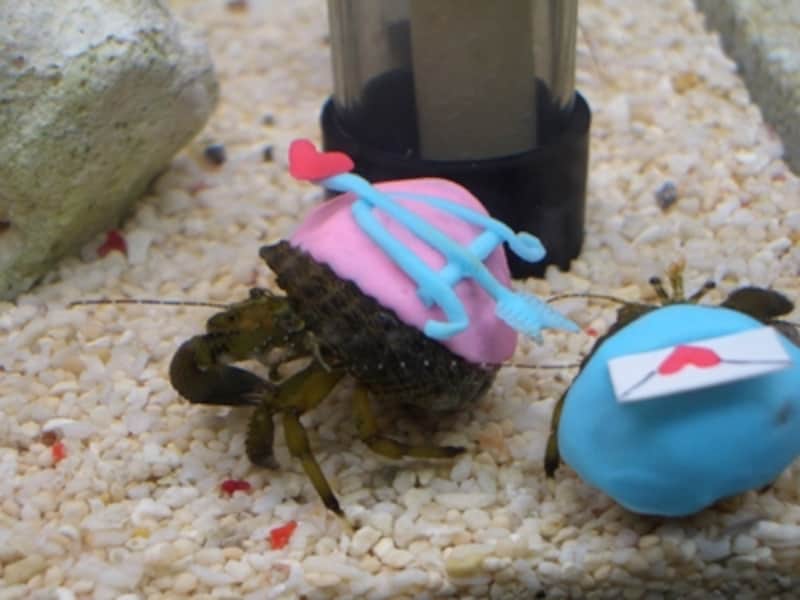 マリンワールド海の中道