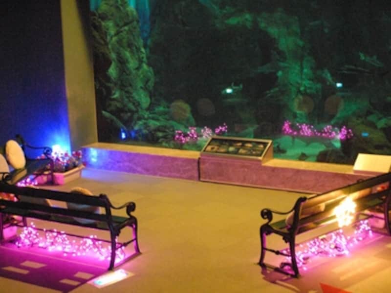 マリンワールド海の中道