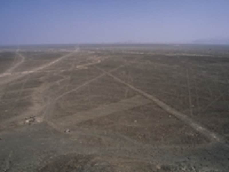 大地に伸びる数々の直線。道路ではなく、これも地上絵 ©牧哲雄