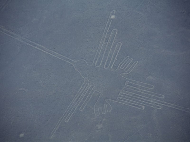 ロ*ん様 テーラー東洋　ハチドリ　ナスカの地上絵　リバーシブル ロ*ん様 テーラー東洋 ハチドリ ナスカの地上絵 リバーシブル