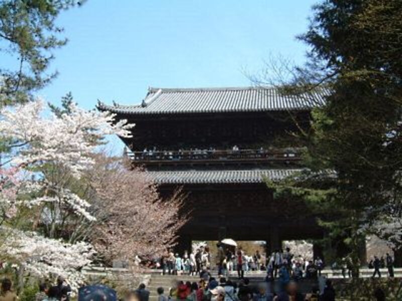 南禅寺の桜（1）