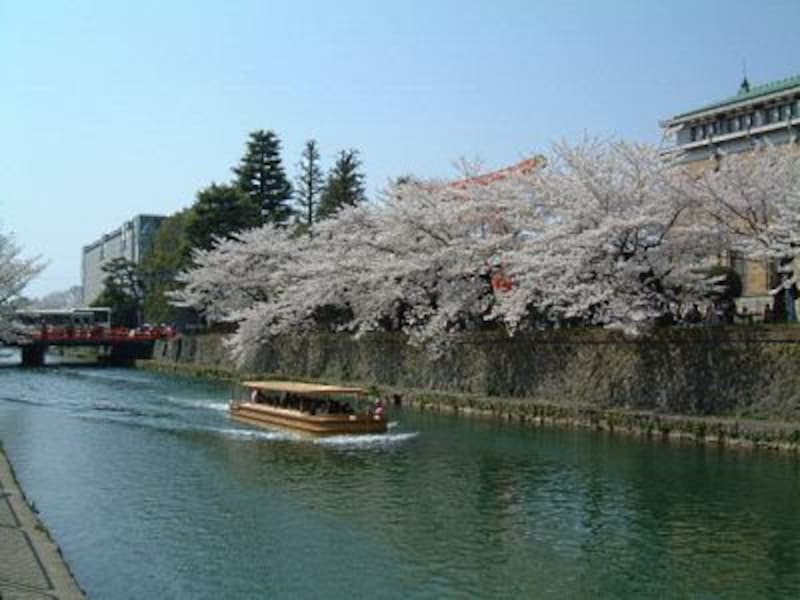 琵琶湖疏水べりの桜と岡崎桜回廊 十石舟めぐりの船
