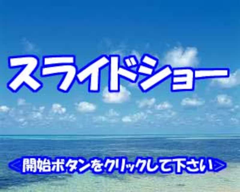 スライドショー表示領域