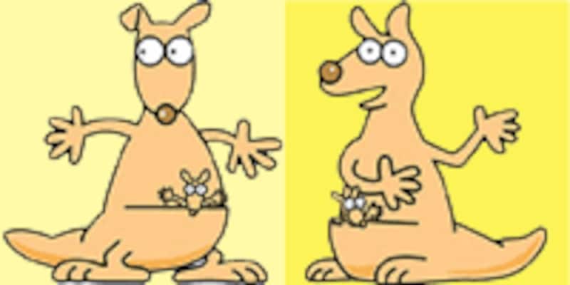 リンク用カンガルー画像