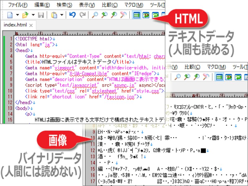 HTMLはテキストデータだが、PNGやJPEG等の画像はバイナリデータ
