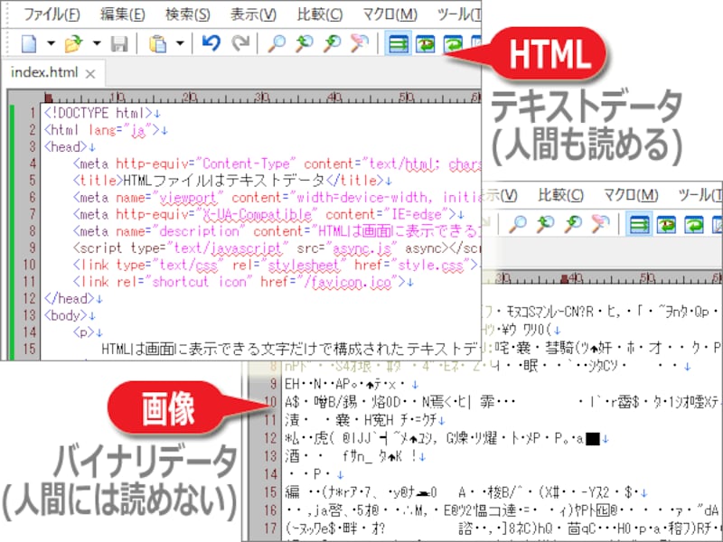HTMLはテキストデータだが、PNGやJPEG等の画像はバイナリデータ
