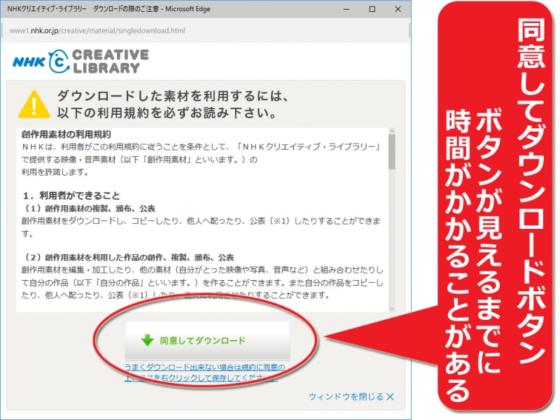 利用規約の下にダウンロードボタンが現れる(※ボタンが現れるまでに時間がかかる場合があります)