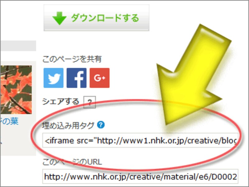 動画素材を自サイトに埋め込むためのHTMLタグ
