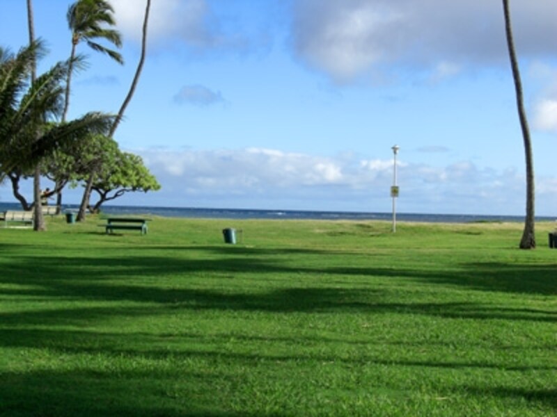 シャワー、トイレ、駐車場も完備