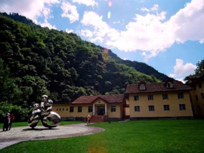 中国最大のパンダ保護区undefined（C）AbeMie