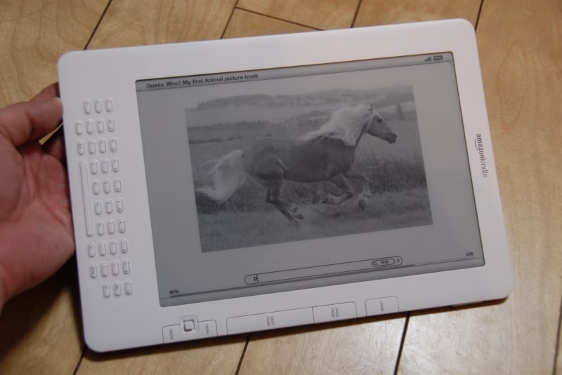 白黒16階調ながら、写真などもしっかりと閲覧できる