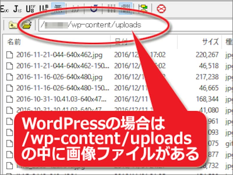 画像がアップロードされているディレクトリの中身を一括ダウンロードしておく