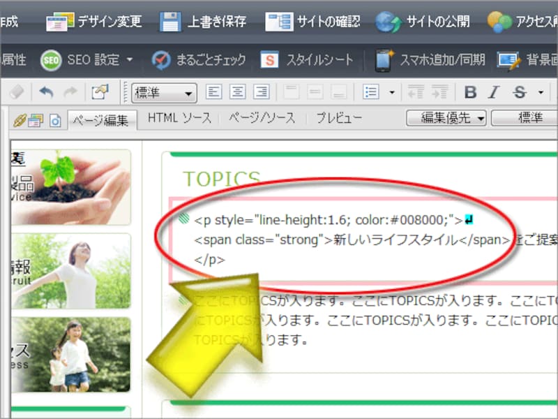 ホームページ作成ソフト上で、文字としてソースを書いても意味がない