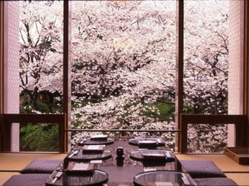 『高輪 七軒茶屋』からの桜。まさに距離０の眺めは、ランチタイムもディナータイムも堪能できます