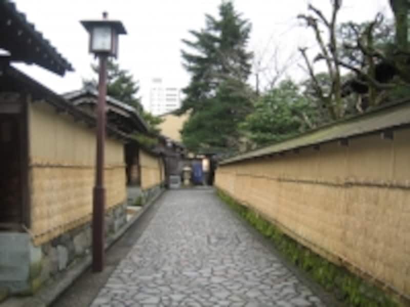 こもが掛けられた長町武家屋敷跡の様子