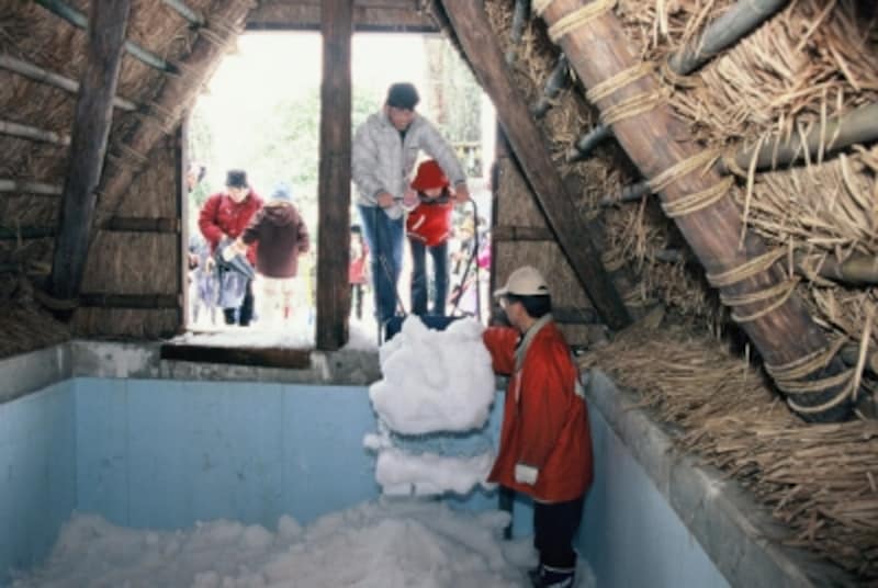 氷室の雪詰め作業