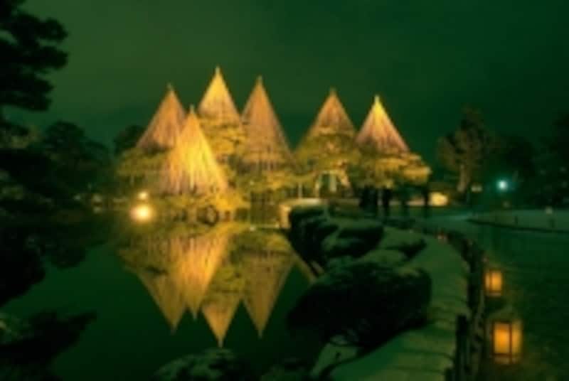 ライトアップされた唐崎の松undefinedundefinedundefinedundefinedundefinedundefinedundefinedundefinedundefinedundefinedundefinedundefinedundefinedundefinedundefinedundefinedundefinedundefinedundefinedundefinedundefined写真提供：金沢市