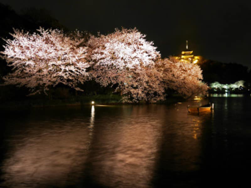 横浜お花見スポット 桜名所おすすめ19選 年最新 横浜の観光 旅行 All About