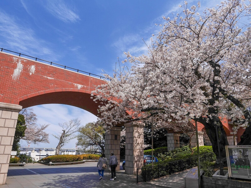 港の見える丘公園から神奈川近代文学館のほうに歩いていくとサクラが咲く風景に出会えます(2019年4月5日撮影)