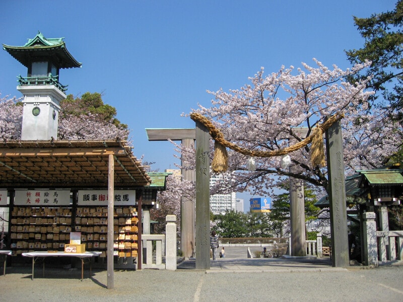 春の伊勢山皇大神宮は薄ピンク色に染まっています(2012年4月9日撮影)