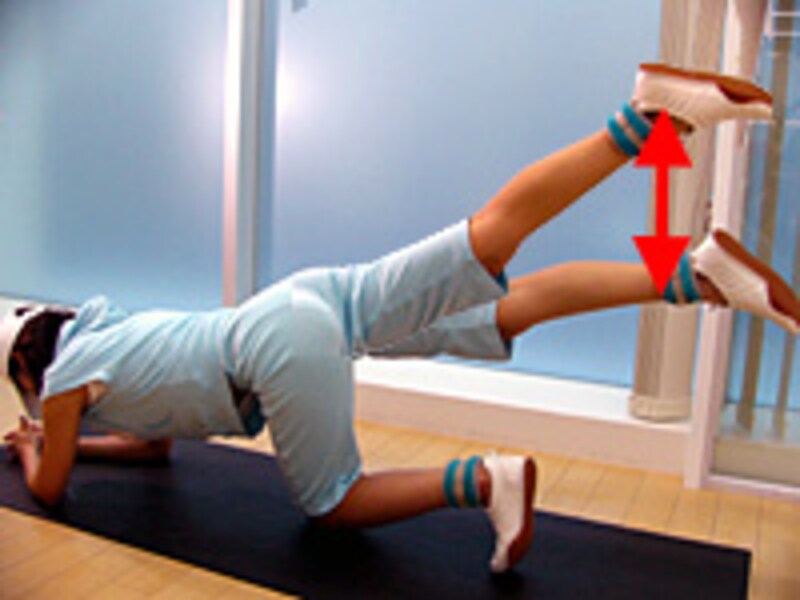 セルライトを撃退！