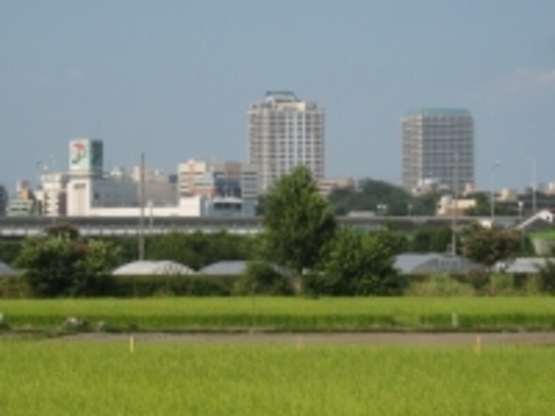 水田とタワーマンション