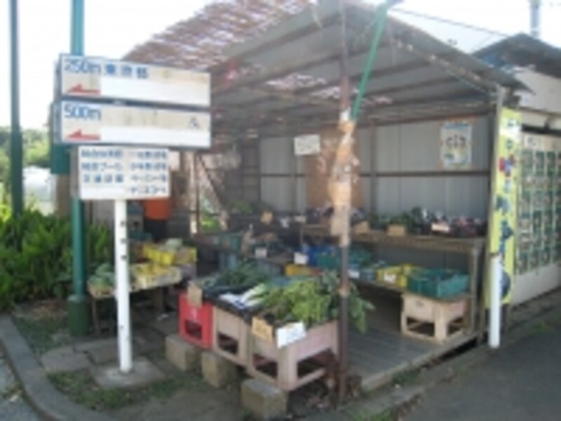 野菜の直売所