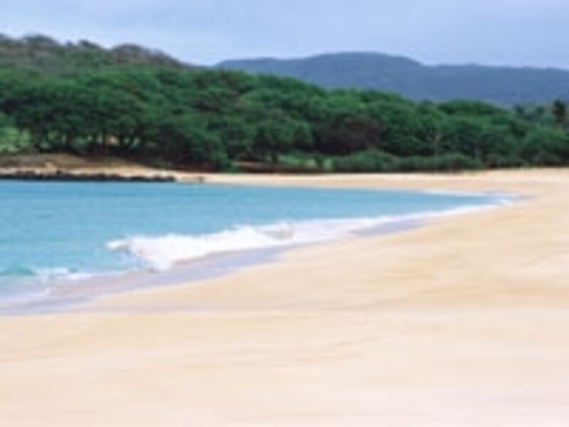 島の西端に広がるパポハクビーチ（画像協力：ハワイ州観光局）