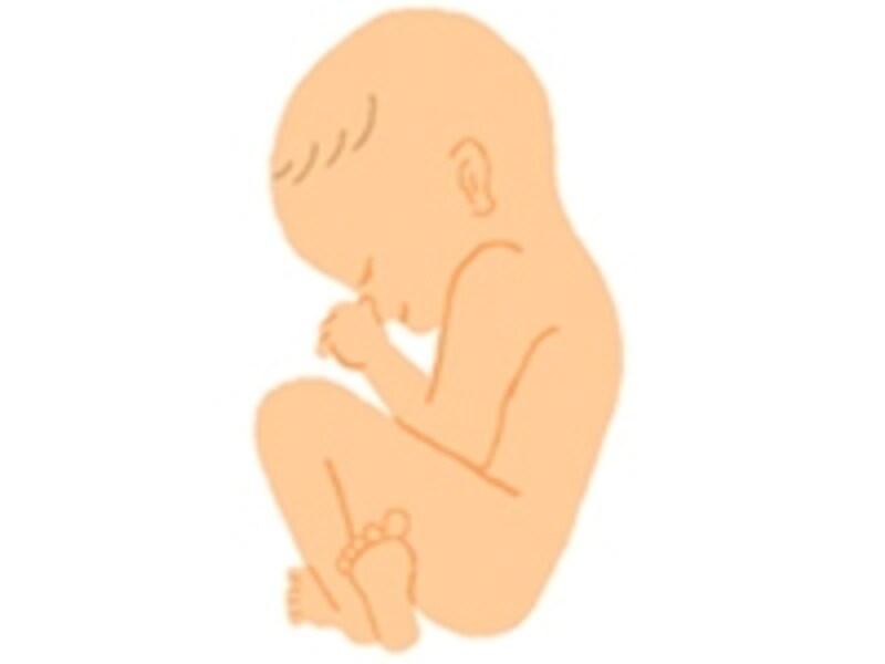 妊娠9ヶ月の胎児