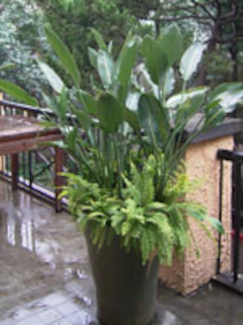 アジアンスタイル