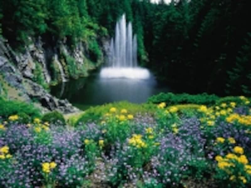 ビクトリア随一の見所ブッチャートガーデン