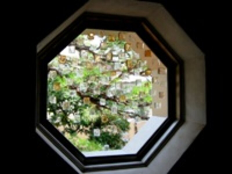 ジクート施工例