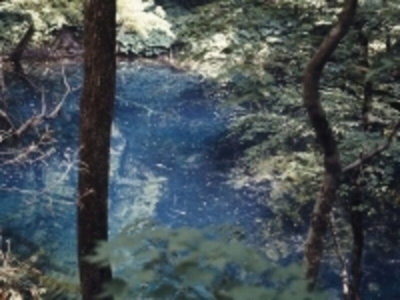 一度見たら忘れられない鮮やかなブルーが神秘的な「青池」