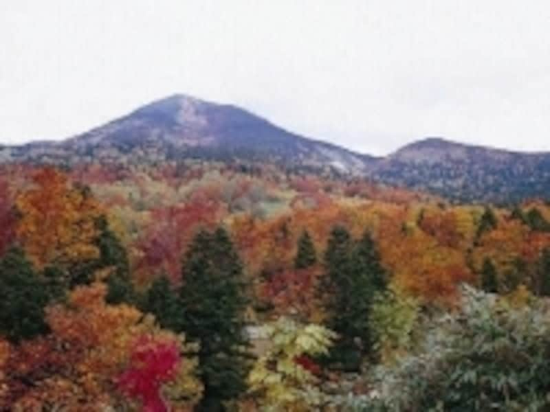 八甲田の紅葉風景。シーズン中は、県内外から多くの観光客が訪れます