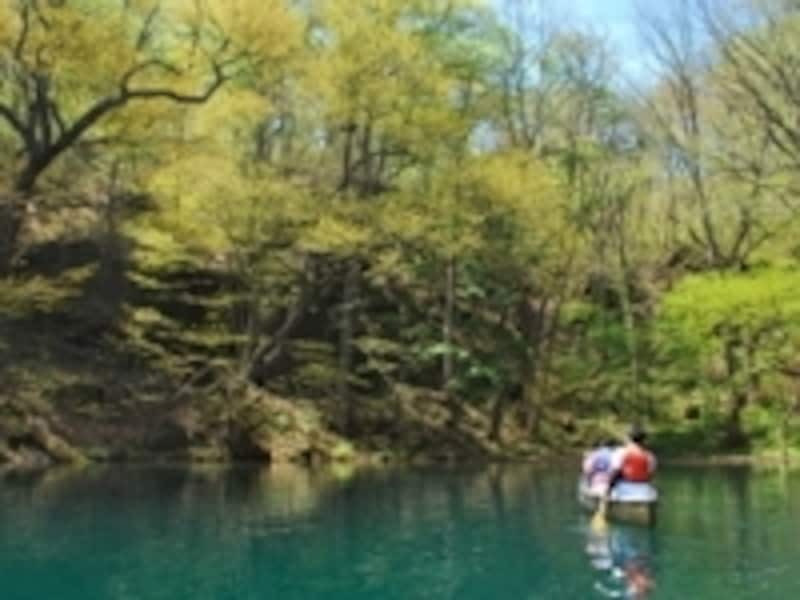 水鳥の目線で十和田湖の景色を感じる「カヌーツアー」